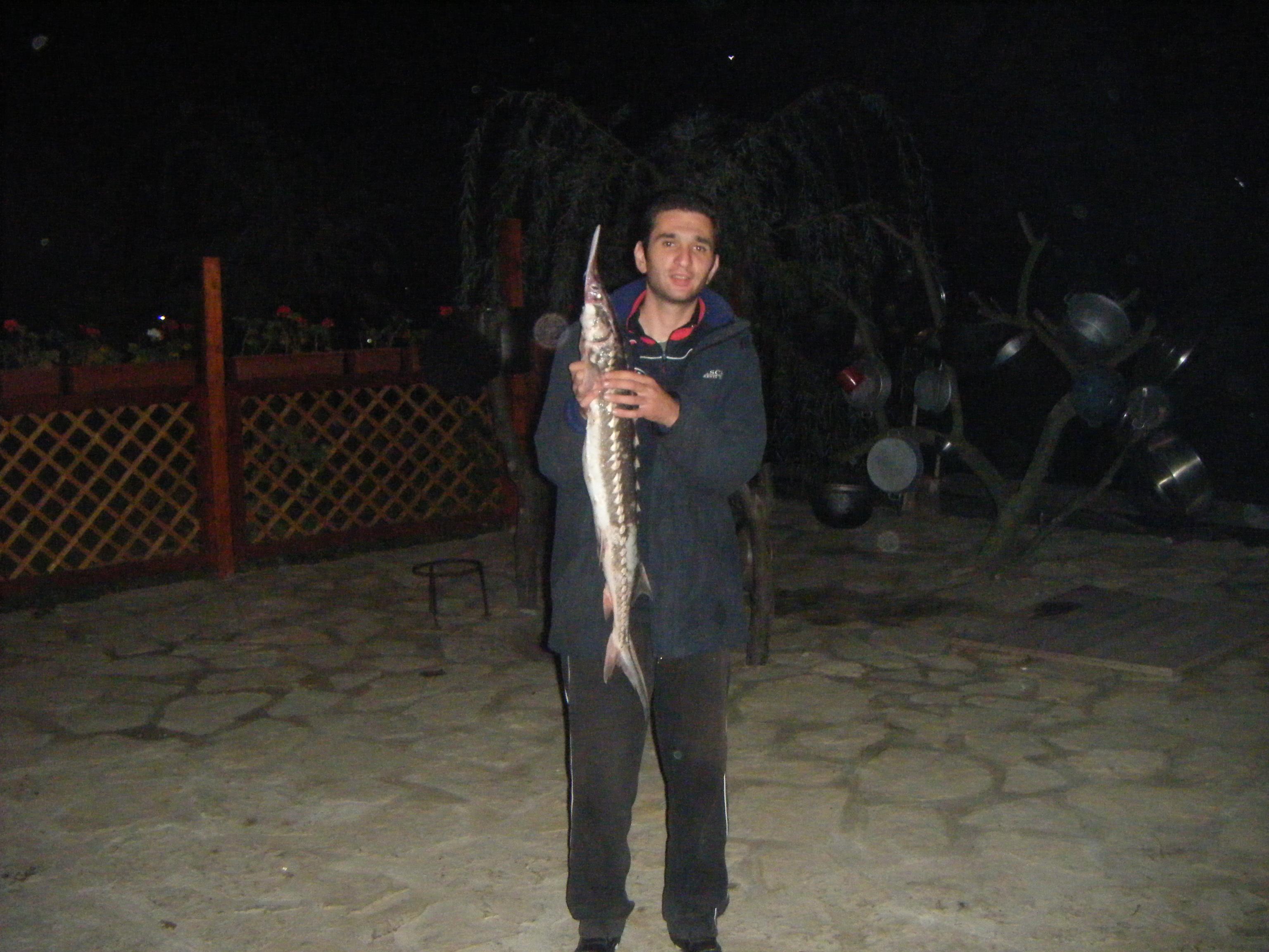 Delta - Copy of Picture 228.jpg